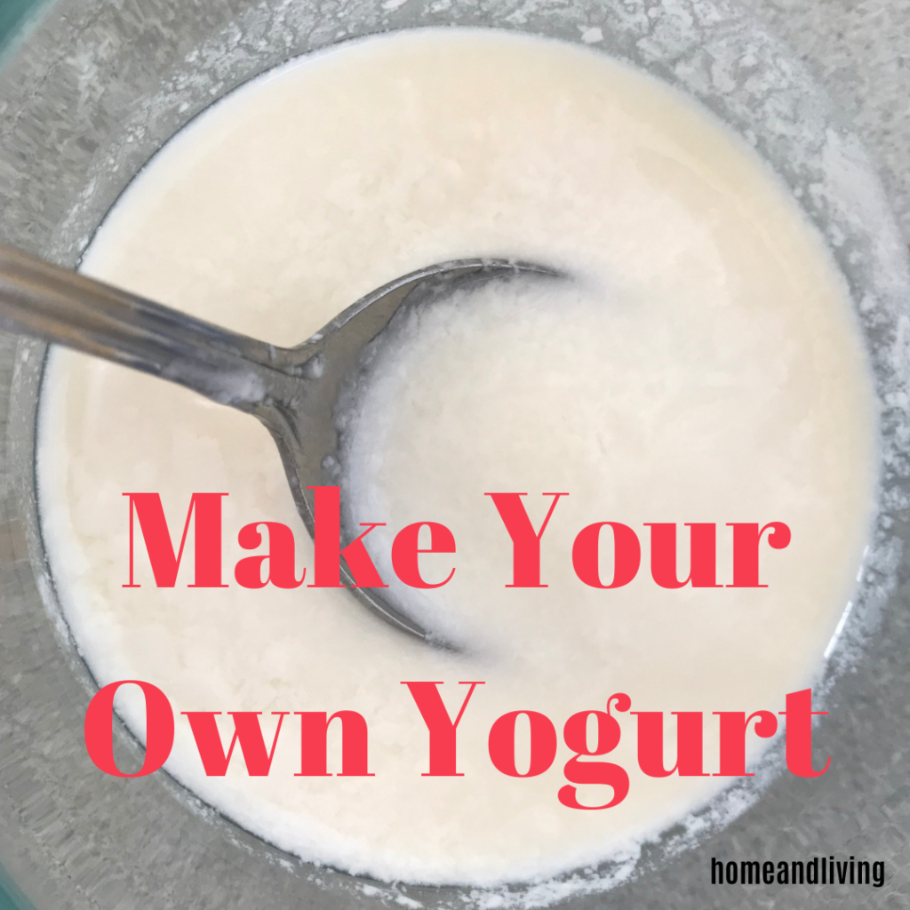 How to Make Your Own Homemade Yogurt